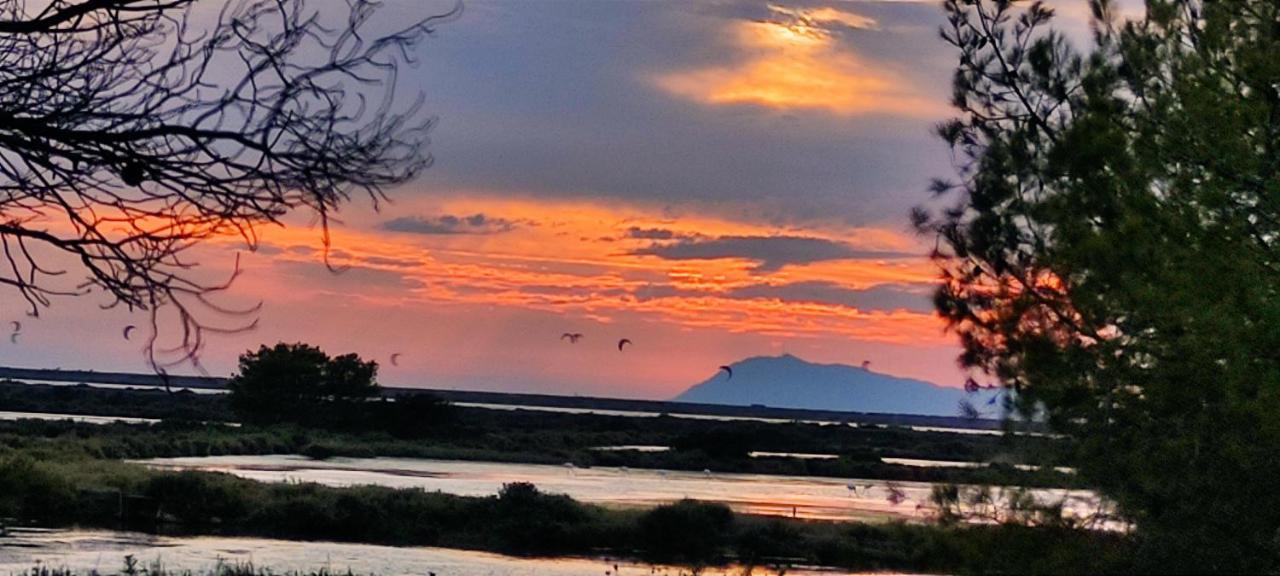 Suite Avec Tropezienne Vue Mer Hyères Zewnętrze zdjęcie